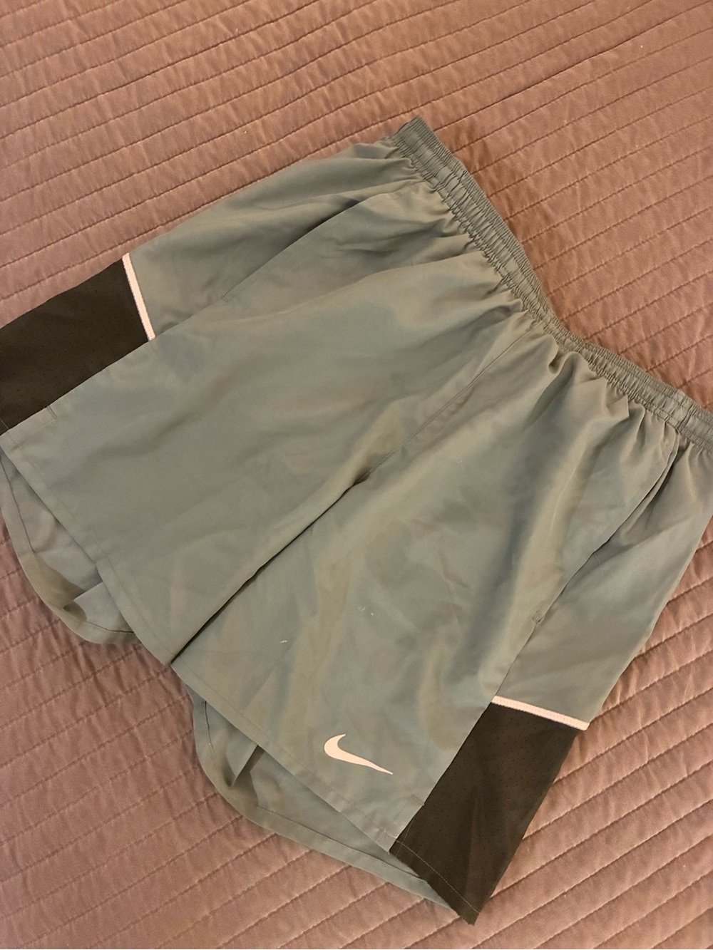 Nike Light Teal Athletic Shorts